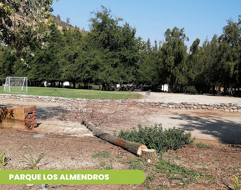 Parque Los Almendros
