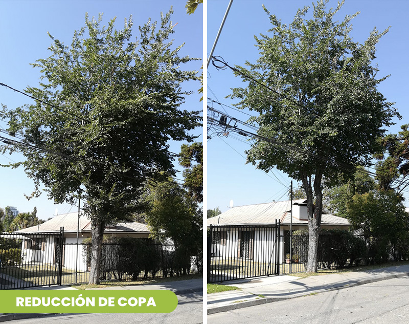 Parque Los Almendros